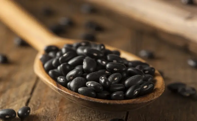 الفاصولياء السوداء تعتبر من الأطعمة السوداء التي تحمل العديد من الفوائد الصحية للجسم